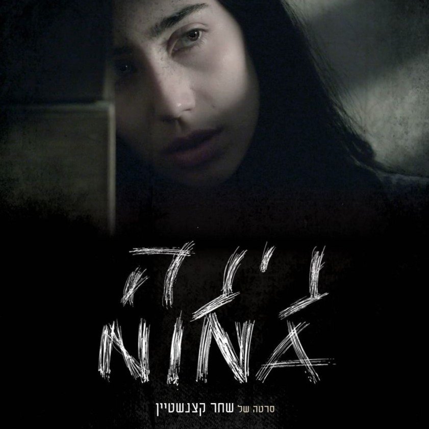 NINA cover art